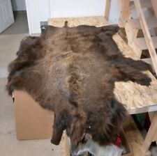 Buffalo bison hide for sale  Fort Collins