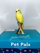 green budgie for sale  ASHFORD