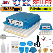 36x eggs fully for sale  UK