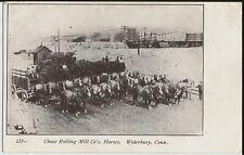 Horse teams wagons for sale  MONTROSE