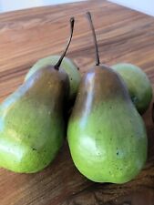 Pears pear artificial for sale  MANSFIELD