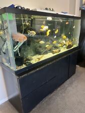 165 gallon aquarium for sale  Bel Air