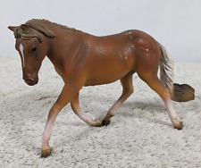 Haflinger mare horse for sale  Shakopee