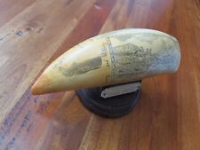 scrimshaw tooth for sale  Hyannis