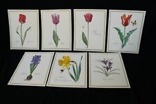 Botanical prints floral for sale  Watsontown