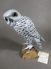 Snowy owl bird for sale  Saint Paul