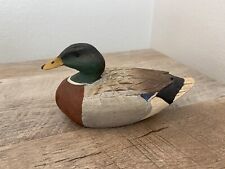 Mallard drake duck for sale  Monroe