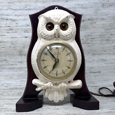 Moving eyes owl for sale  Westbrook