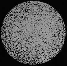Foraminifera 2900 fathoms for sale  HAYLE