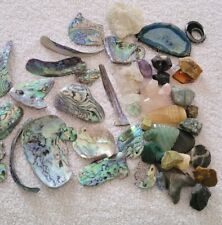 Abalone shell pieces for sale  Danville