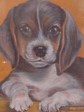 Lovely beagle portrait for sale  HARROW