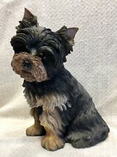 akc toy yorkie for sale  Pittsfield