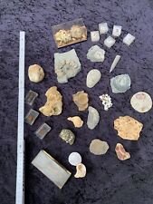 Fossilien mineralien sammlung gebraucht kaufen  Remscheid-Nord
