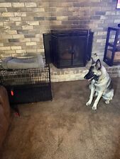 Indoor large dog for sale  Amarillo
