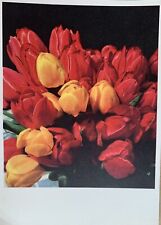 Cartolina tulipani flora usato  Treviso Bresciano