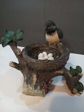 Bird nest eggs for sale  Brazil