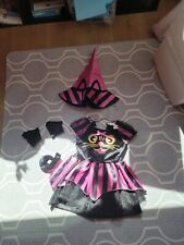 Toddler kitty witch for sale  Newbury Park