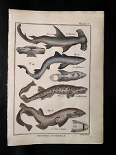 Bonnaterre sharks pl.6 d'occasion  Paris-
