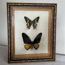 Vintage wall butterflies for sale  LEICESTER
