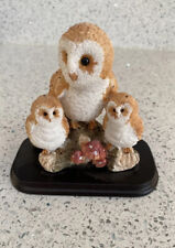 Barn owl baby for sale  MORECAMBE
