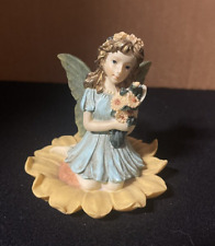 1996 fairy collection for sale  Charlotte