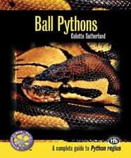 Ball pythons complete for sale  UK