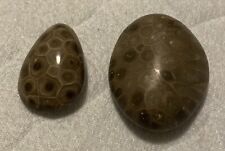 Used, 2 Polished Petoskey Stones for sale  Shipping to South Africa