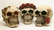 Rosen totenköpfe skull gebraucht kaufen  Billmerich,-Lünern,-Hemmerde