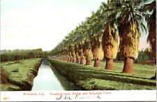 1908, Washingtonian Palms and Riego Canal, Riverside, California postal segunda mano  Embacar hacia Argentina