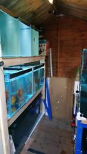 Tier fish tank for sale  LIVERPOOL