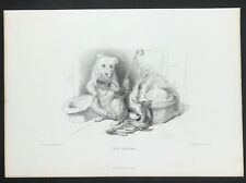 Beggar dog 1869 for sale  BOURNE END