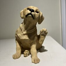 Golden labrador puppy for sale  BIRMINGHAM