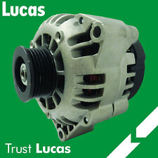 Lucas premium quality for sale  USA