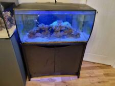 Fluval flex 123l for sale  NEATH