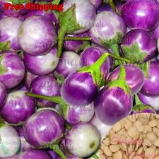 Round purple eggplant for sale  Ontario