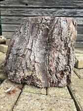Organic walnut log for sale  WORCESTER
