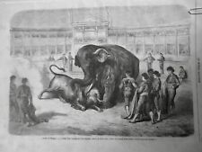 1865 elephant combat d'occasion  Saint-Etienne