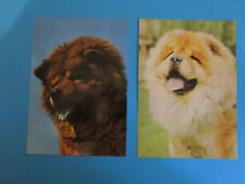 Hundepostkarten chow chow gebraucht kaufen  Berlin