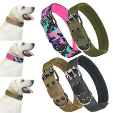 Dog collar military for sale  Shipping to Ireland