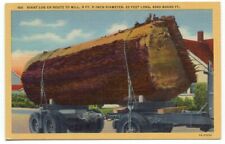 Giant log route for sale  North Haven