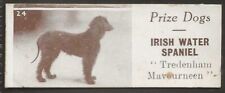 Sharps prize dogs for sale  COLNE