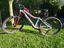 Mädchen mountainbike scott gebraucht kaufen  Aschau i.Chiemgau