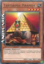 Tartaruga piramide comune usato  Ravenna