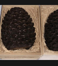 Williams sonoma pinecone for sale  Fort Mill