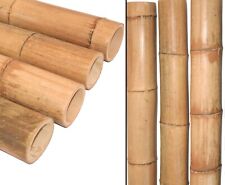 Bambusrohr moso natur gebraucht kaufen  Jettenbach