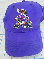 Phoenix coyotes roadrunners for sale  Mesa