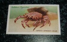 Gallaher zoo aquarium for sale  UK