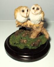 Pair barn owls for sale  RAYLEIGH