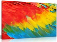 Tropical parrot feathers for sale  LONDON