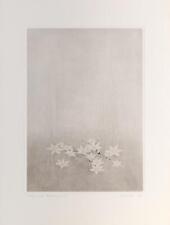 Gunnar Norrman, Ornithogalum, Etching with Aquatint, signed and numbered in penc for sale  Shipping to South Africa